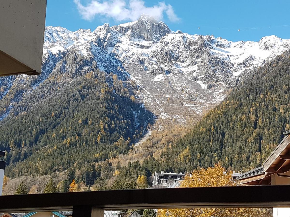 Vue Brevent Sublime En Centre Ville Avec Parking Prive Chamonix Exteriör bild